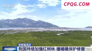我国海洋能开发利用技术已迈入世界第一方阵