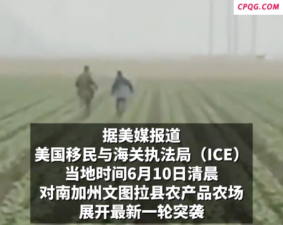 美国移民局突袭现场上演农田追逐战 农场工人被捕引争议