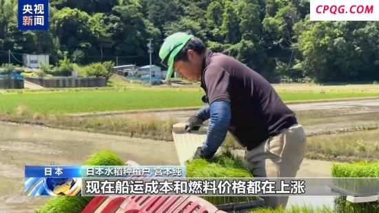日本平抑米价为何难见成效 多因素推高成本