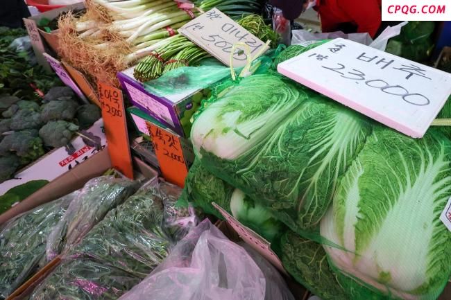 韩国又要缺白菜了