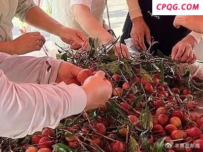 荔枝价格暴跌七成