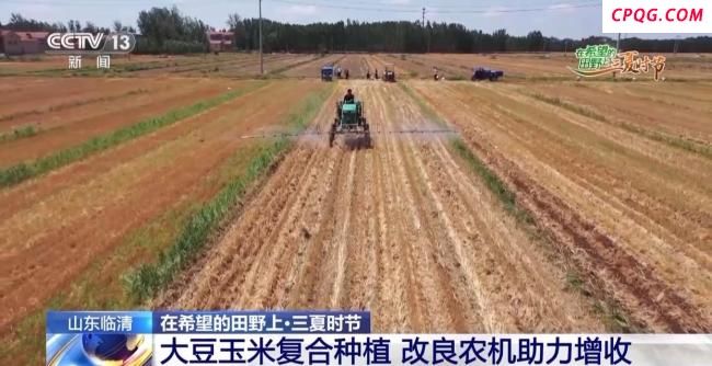 各地夏粮丰收有“粮”方 整村托管促增产