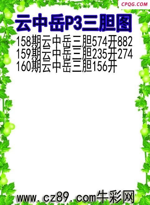 25年160期云中岳P3三胆图