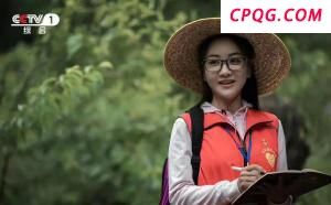 顶级剧《长安的荔枝》扑了 口碑两极分化引发热议