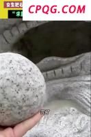 专家：机械蚊子颠覆战场侦察打击模式 微型科技成就未来战场新利器