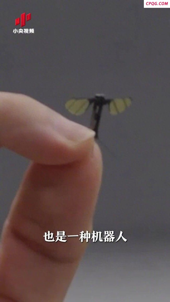 国防科大造出“蚊子机器人”重量只有0.3克