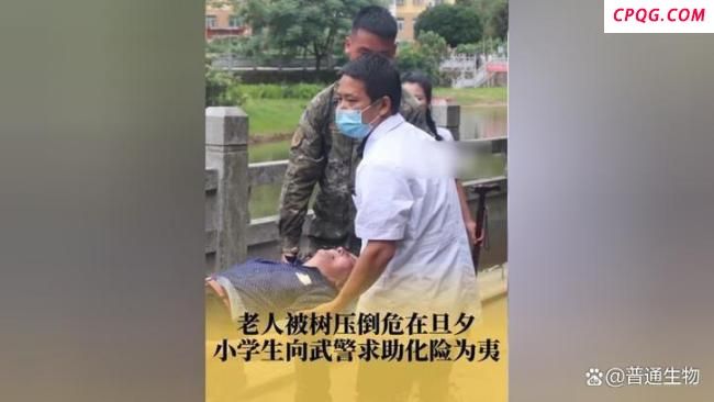 小学生找来武警战士救人后续 小英雄与大爱官兵