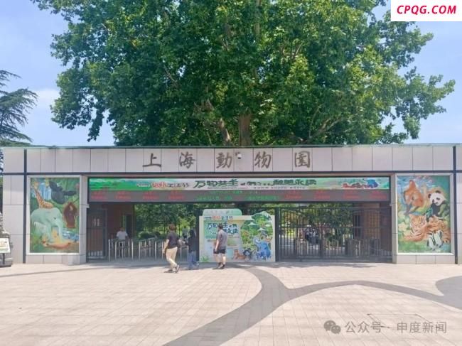 上海动物园建议带娃游客喂完奶再进 母婴室设置引争议