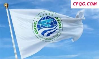 学者：特朗普欲拿加拿大杀鸡儆猴 震慑数字税征收国