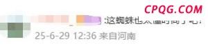 大量废弃充电宝会污染环境吗 正确回收至关重要