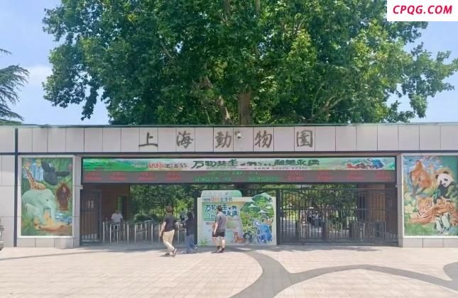 上海动物园就婴儿事件道歉 服务不当致歉