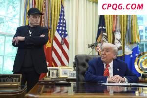猫咪睡在公园被路人轮流扇风 暖心一幕获赞