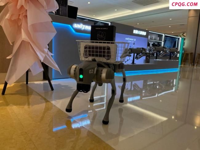 宇树科技河南首店开业