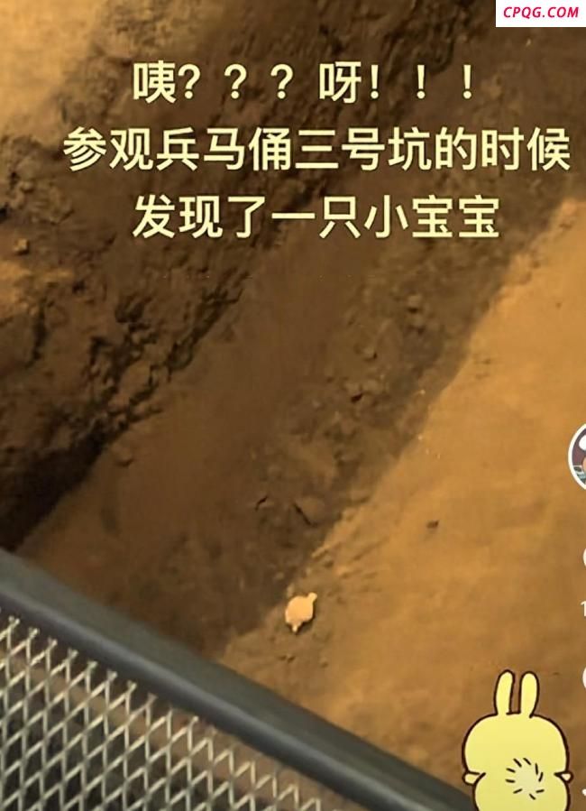 兵马俑坑咋成“失物招领处”了