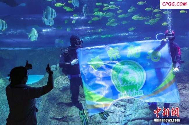 南京海底世界水下拉横幅为南京助威