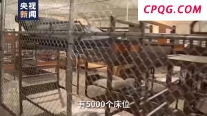 只有一条路到外界……“鳄鱼恶魔岛”内部画面曝光