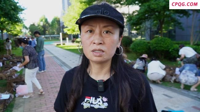 400多只非法运送小猫被截获 爱心人士救助行动