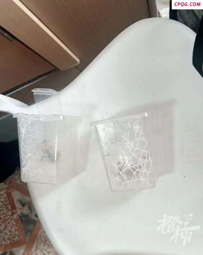 业主误将邻居的宠物螳螂当蟑螂喷杀