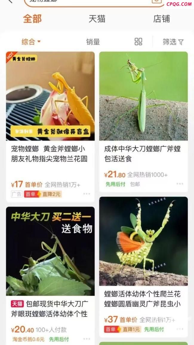 业主误将邻居的宠物螳螂当蟑螂喷杀 异宠引发邻里纠纷