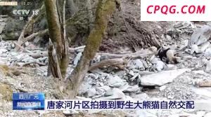 税务严打骗享小微企业所得税优惠 违规手段曝光