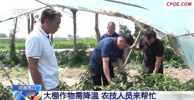 河南启动气象灾害高温四级应急响应 多地采取措施应对高温