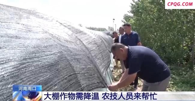 河南启动气象灾害高温四级应急响应