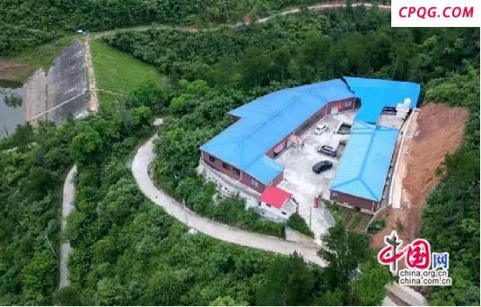 湖南泸溪：碧溪“酿”变 酒香铺就增收富民路