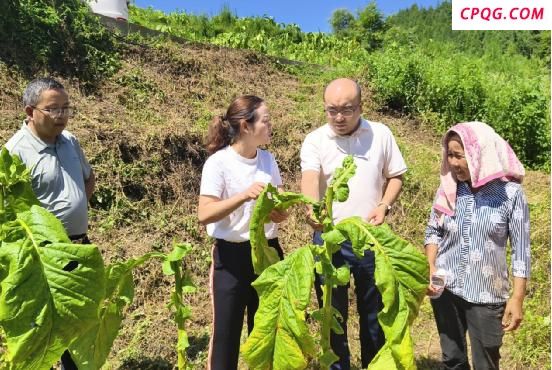 湖南泸溪：偏远山村来了特派员 产品产量翻了番