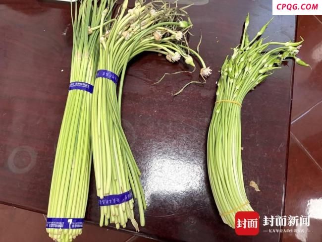 蒜苔是花不能走绿通？收费站回应 目录之外引发争议