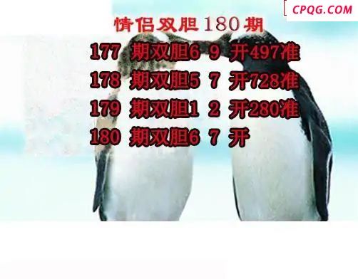 情侣双胆2025180期3d图谜