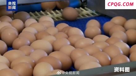 特朗普政府因蛋价起诉加州