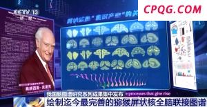 我国脑图谱研究系列成果集中发布