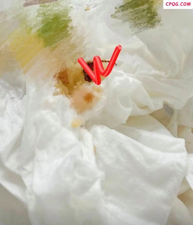 网友称在快餐中吃出半只蟑螂 事件引发广泛关注