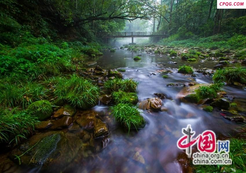 这个夏天去武陵源共赴沁透心脾的“清凉之约”