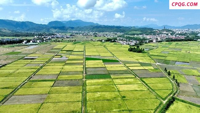 6号台风“韦帕”预计今日生成 本月或登陆我国