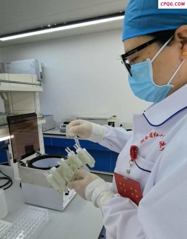 河南发现稀有血型 比熊猫血还罕见