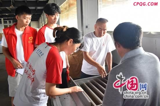 吉首大学：科技赋能黄金茶 青春助力乡村振兴
