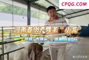 女儿想赴韩当练习生 黄奕：没苦硬吃 明星二代追梦不易