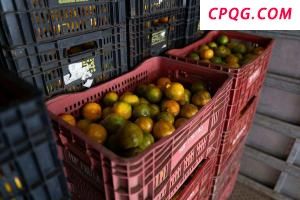 美加征关税影响巴西约7.7万吨水果出口