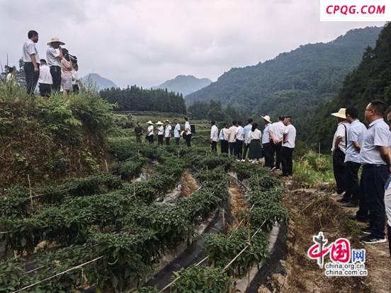 古阳镇人大：凝心聚力促振兴 履职尽责显担当