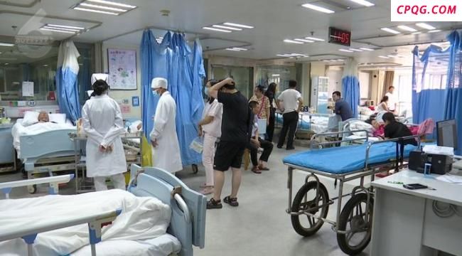 女子吃鹅膏菌致跨国救治48天 野生菌安全需重视