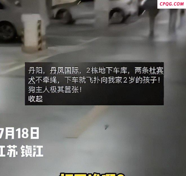 两只杜宾未拴绳引口角