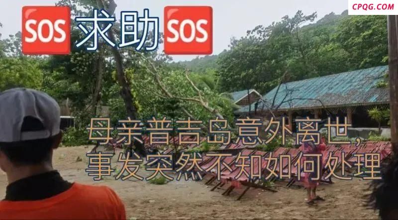 已证实！中国女游客泰国普吉岛被树砸身亡(图)