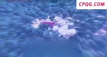 俄乌第三轮谈判释放什么信号 停火立场仍远