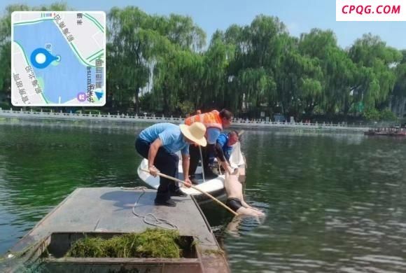 游客在什刹海溺水 工作人员救人 高效救援守护生命