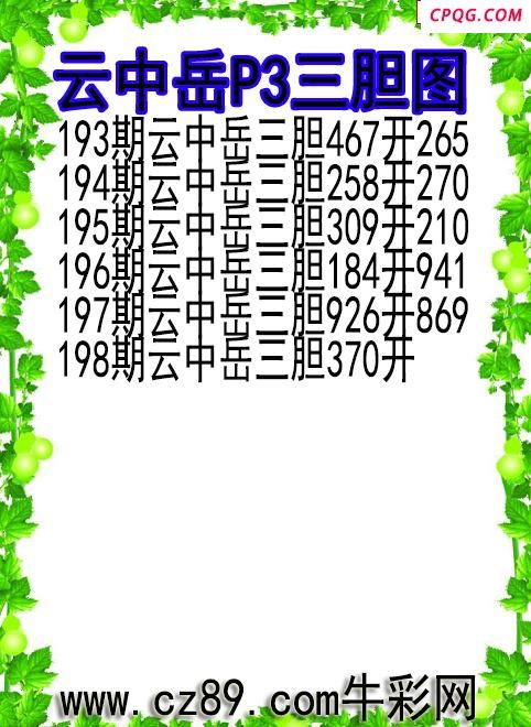 25年198期云中岳P3三胆图
