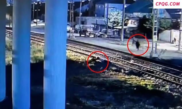 俄路人冒死救下铁轨昏迷男子，英勇举动震撼全网
