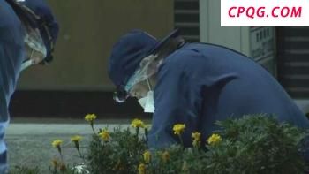 普京与特朗普同时访华，不排除在华举行会晤的可能性：中方乐见俄美改善关系