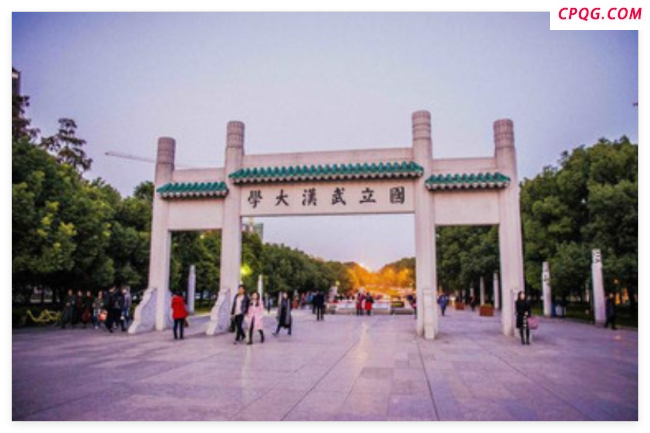胡锡进称武大应撤销对肖某某处分并道歉 还学生公道