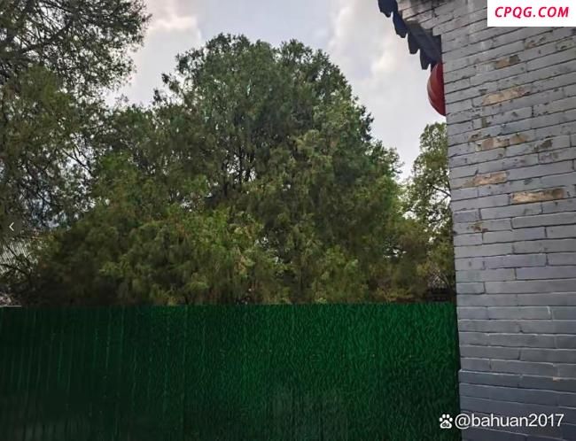 少林寺“平安香”等收费项目消失 商业痕迹清零